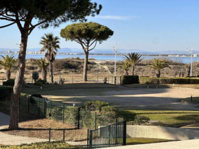 Appartement 2 pièces, terrasse vue mer, 4 pers., parking privé, accès direct plage - FR-1-731-90